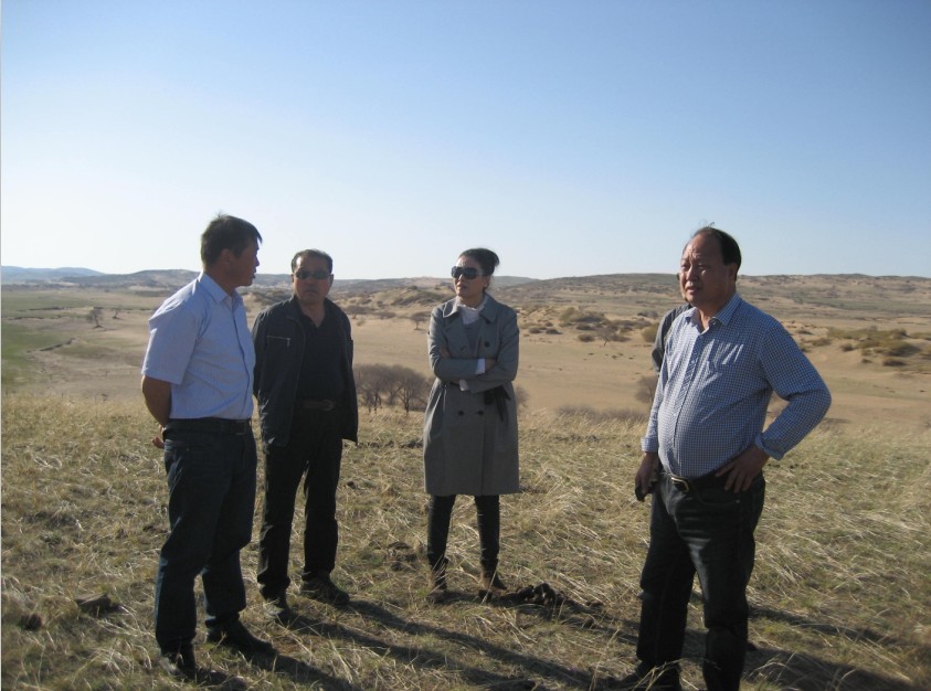 發(fā)揮資源優(yōu)勢，提高產(chǎn)業(yè)鏈競爭力——協(xié)會為企業(yè)間的合作搭建平臺