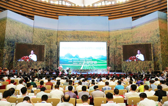 內蒙古龍頭企業(yè)協(xié)會應邀出席廣西農業(yè)項目合作洽談暨科技成果展示對接會