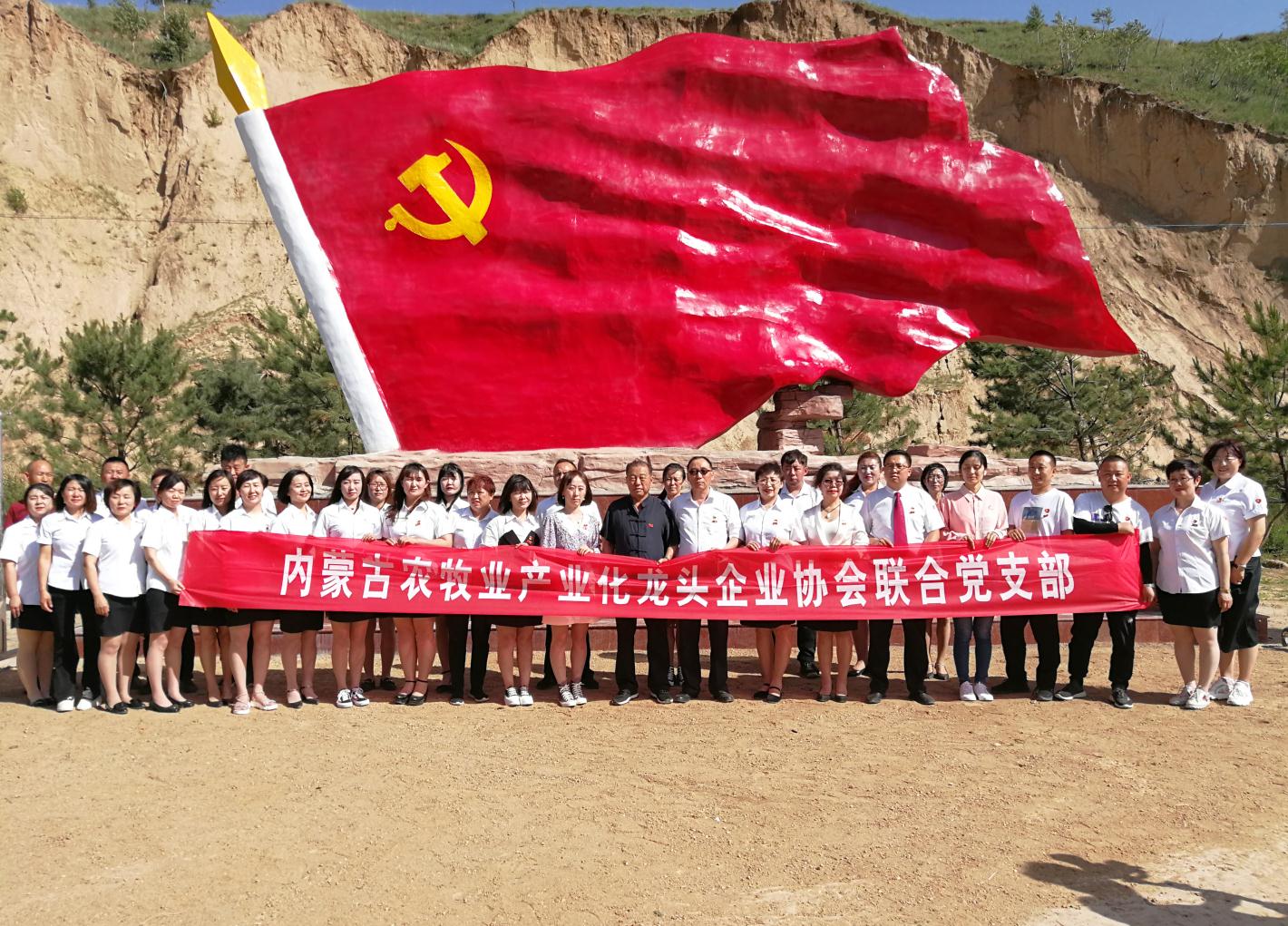 內(nèi)蒙古農(nóng)牧業(yè)產(chǎn)業(yè)化龍頭企業(yè)協(xié)會(huì)走進(jìn)石人灣村開(kāi)展“辦實(shí)事、解難題，送溫暖，傳黨恩”公益活動(dòng)